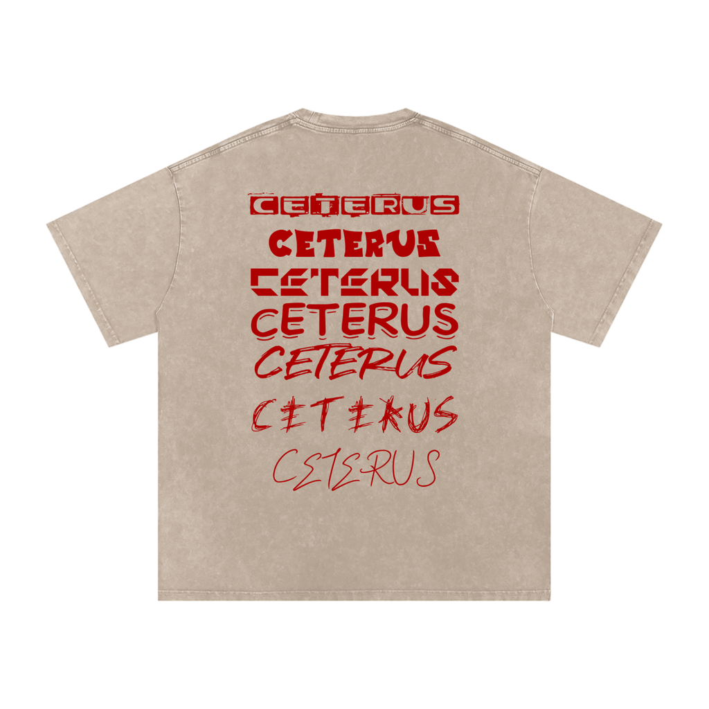 Snow Washed Oversized Cotton T-Shirt