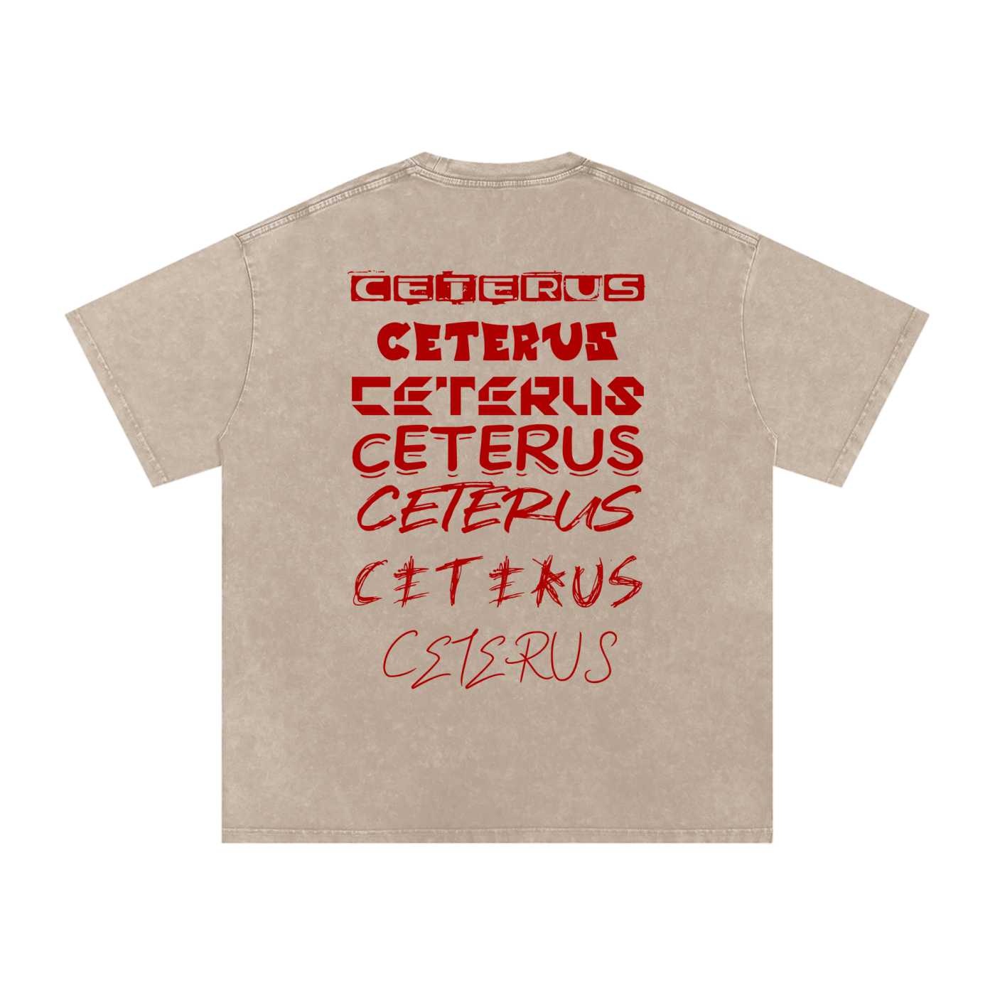 Snow Washed Oversized Cotton T-Shirt