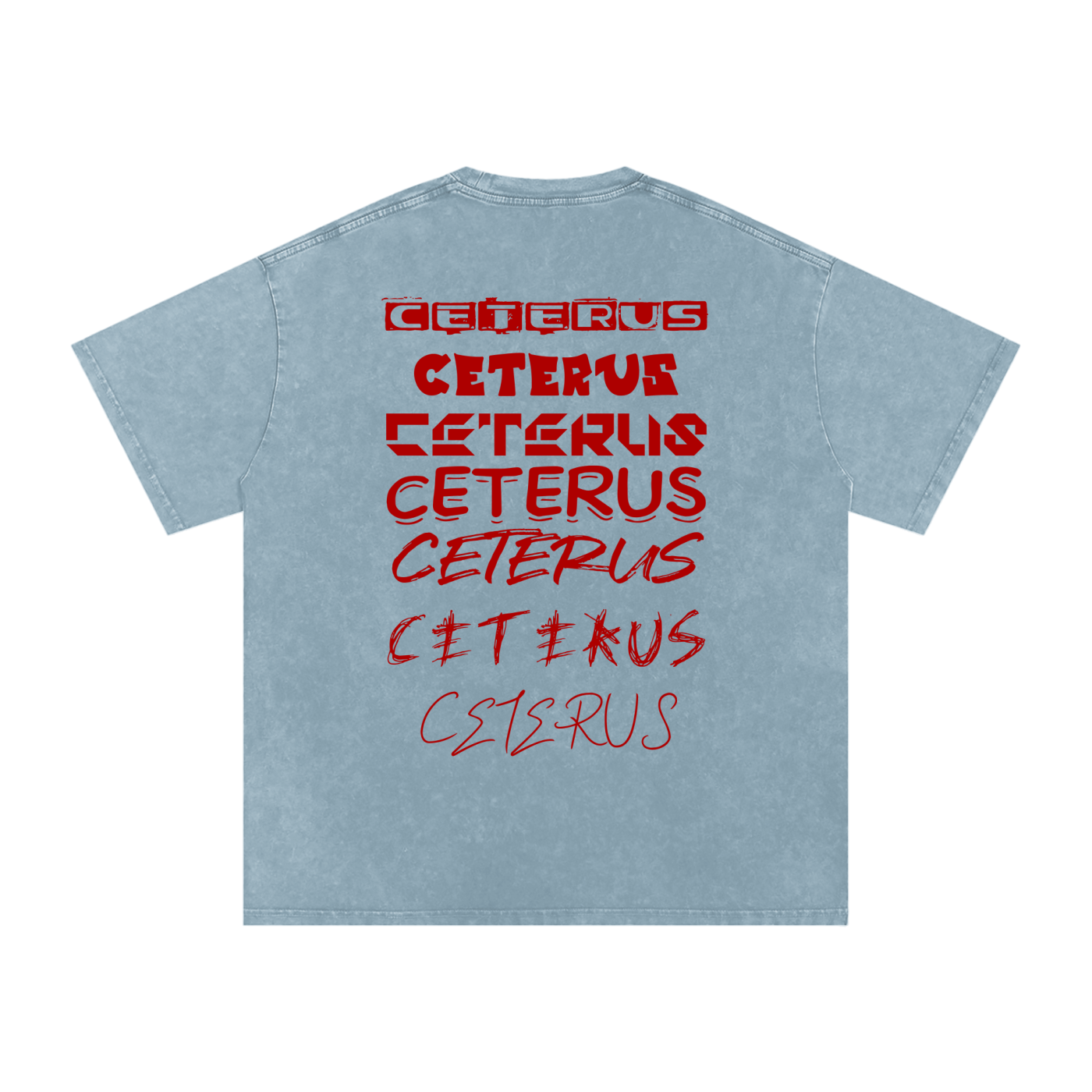 Snow Washed Oversized Cotton T-Shirt