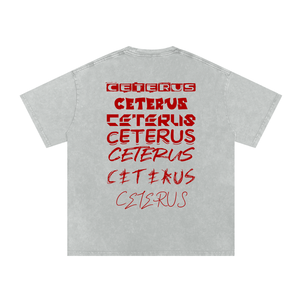 Snow Washed Oversized Cotton T-Shirt