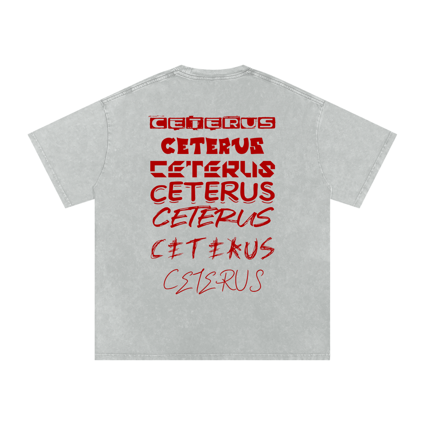 Snow Washed Oversized Cotton T-Shirt