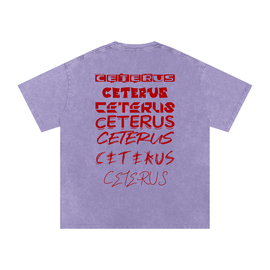 Snow Washed Oversized Cotton T-Shirt