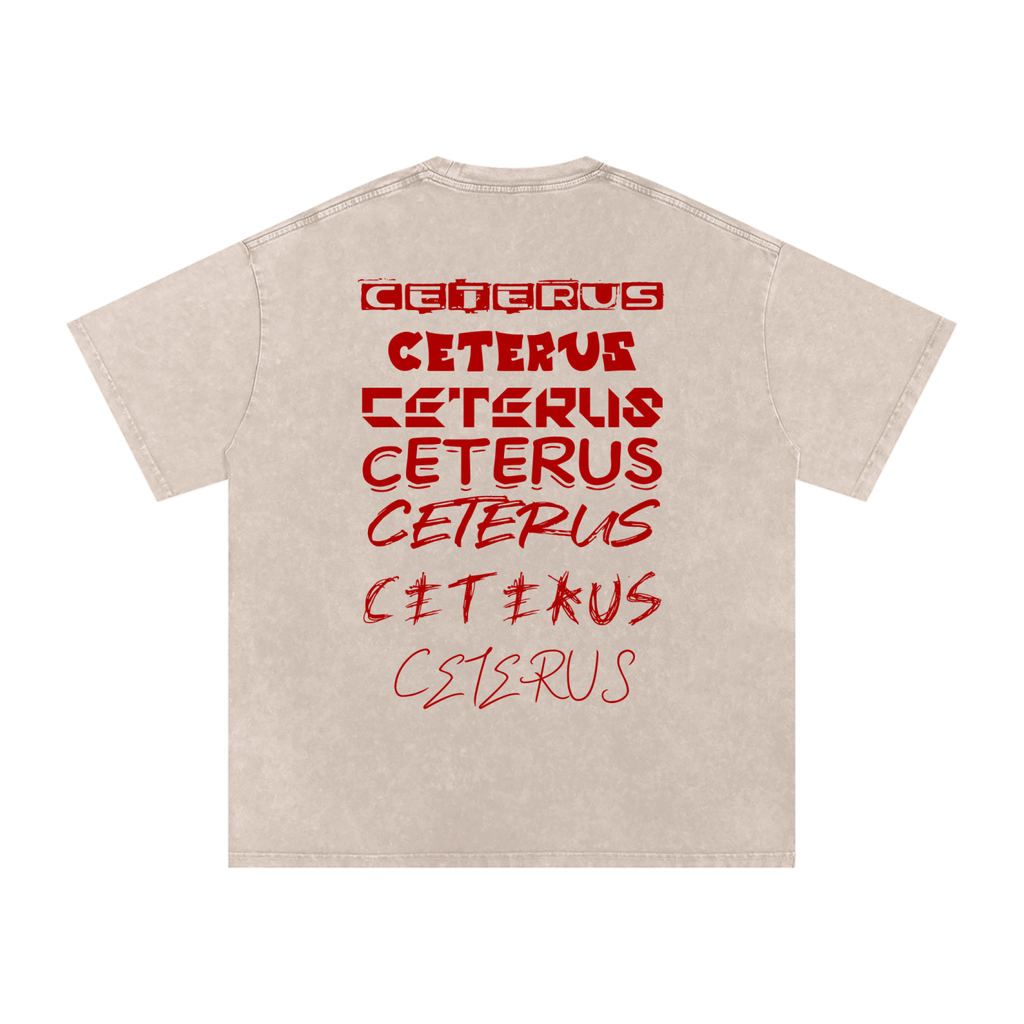 Snow Washed Oversized Cotton T-Shirt